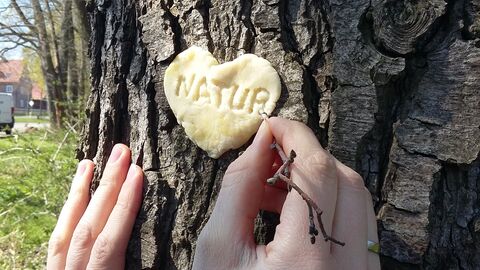 Herzplatte aus Kuchenteig an altem Baum, in das das Wort „Natur“ von einer Hand mit einem kleinen Stöckchen hineingeritzt wird.
