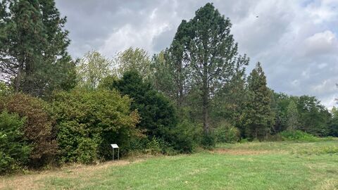 Ein Waldrand, davor Wiese. Vor dem Waldrand ist ein Hinweisschild für Besucher angebracht.