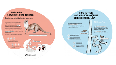 Zwei Schilder über den Fischotter. 
