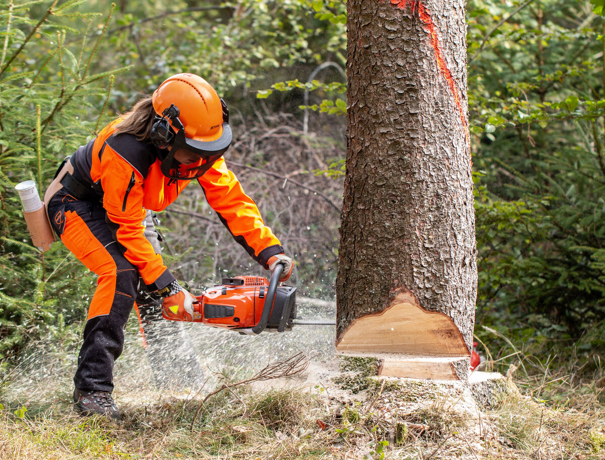 Forstliches Bildungszentrum HessenForst